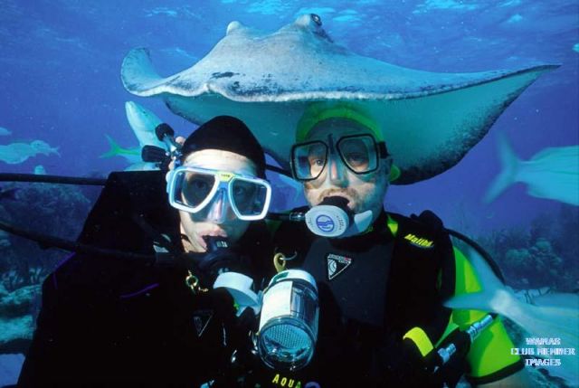 med_gallery_1002_92_37047.jpg