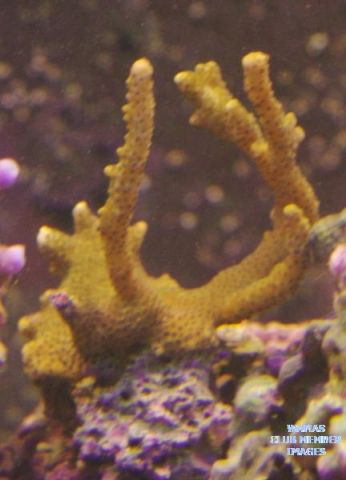 med_gallery_714_58_111746.jpg