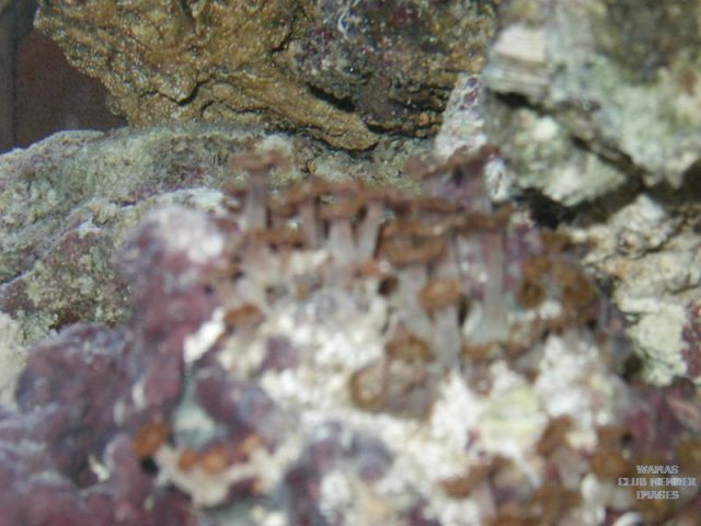 med_gallery_1470_126_239173.jpg