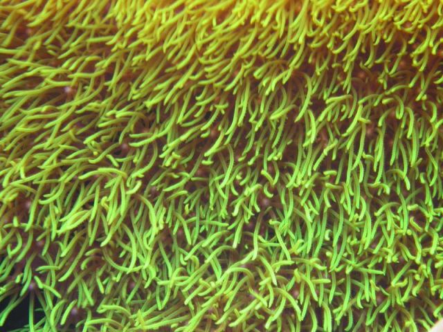 med_gallery_267_4_1175560.jpg