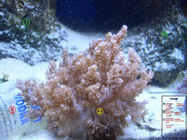med_gallery_975_74_59712.jpg