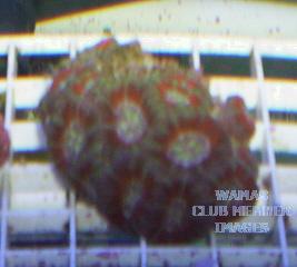gallery_950_158_27482.jpg