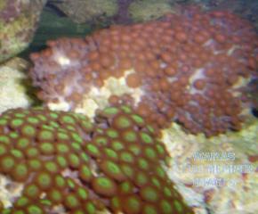 gallery_950_158_10618.jpg