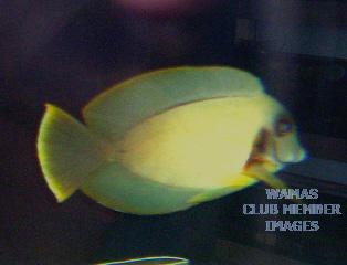 gallery_950_158_44729.jpg
