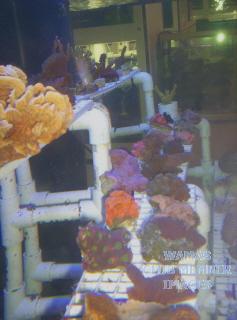 gallery_950_158_58305.jpg