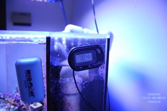 gallery_1704_199_134280.jpg