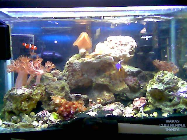 gallery_2631558_395_3754.jpg
