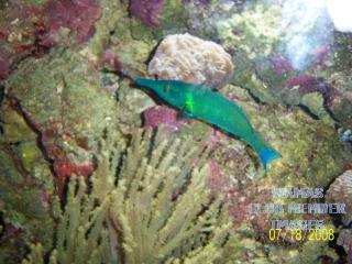 gallery_2631577_443_111396.jpg