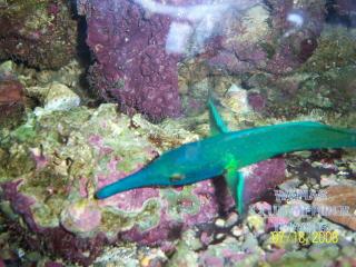 gallery_2631577_443_116842.jpg