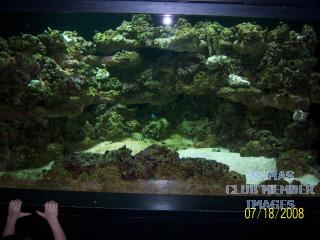 gallery_2631577_443_7245.jpg
