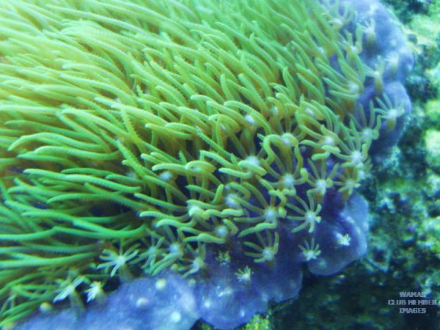 med_gallery_2631654_455_538489.jpg