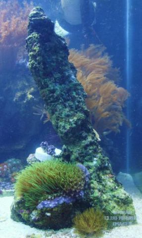 med_gallery_2631654_455_931352.jpg