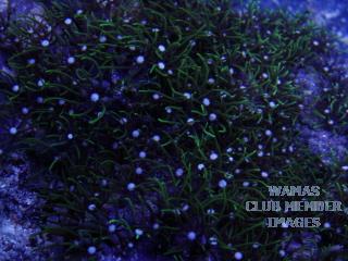 gallery_2631577_435_14793.jpg