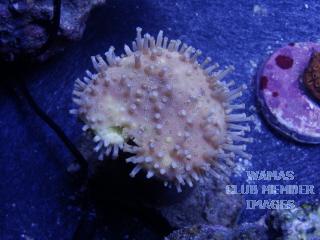 gallery_2631577_435_57468.jpg