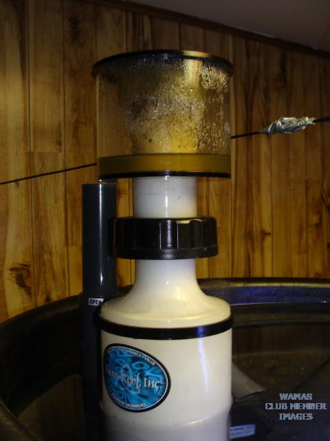 gallery_2631577_435_83271.jpg