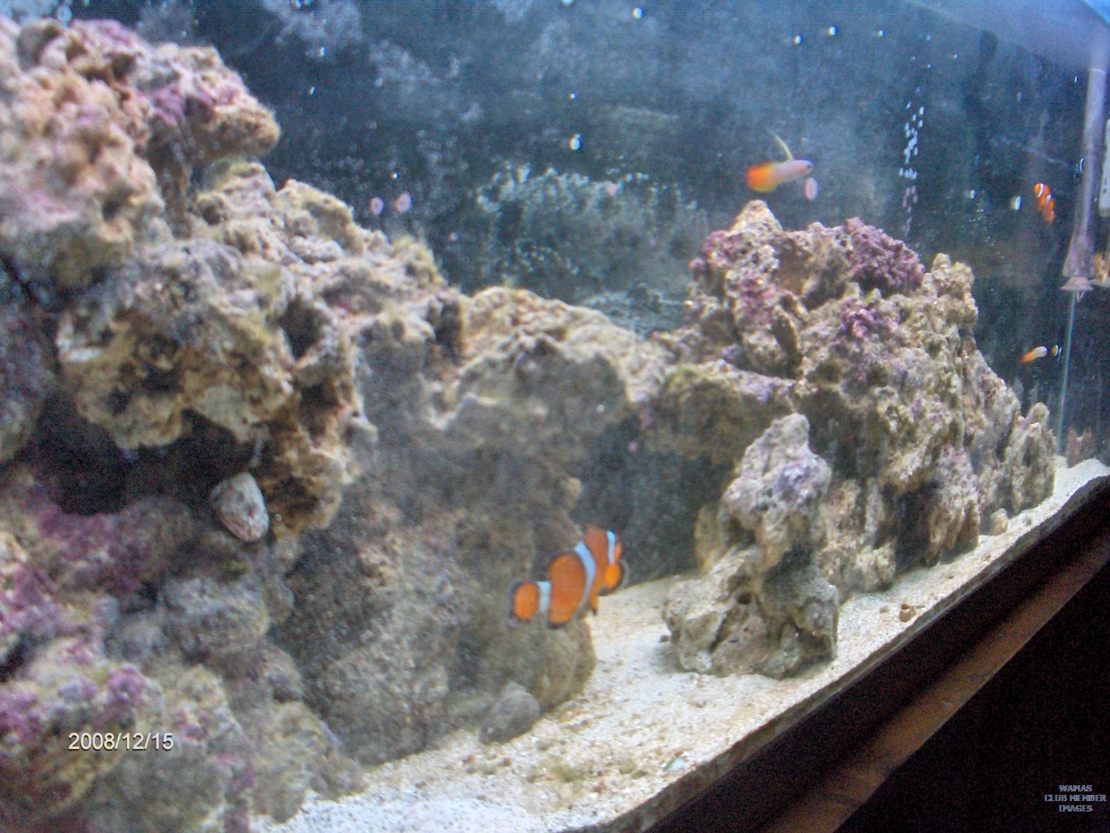 gallery_2631686_465_1737336.jpg