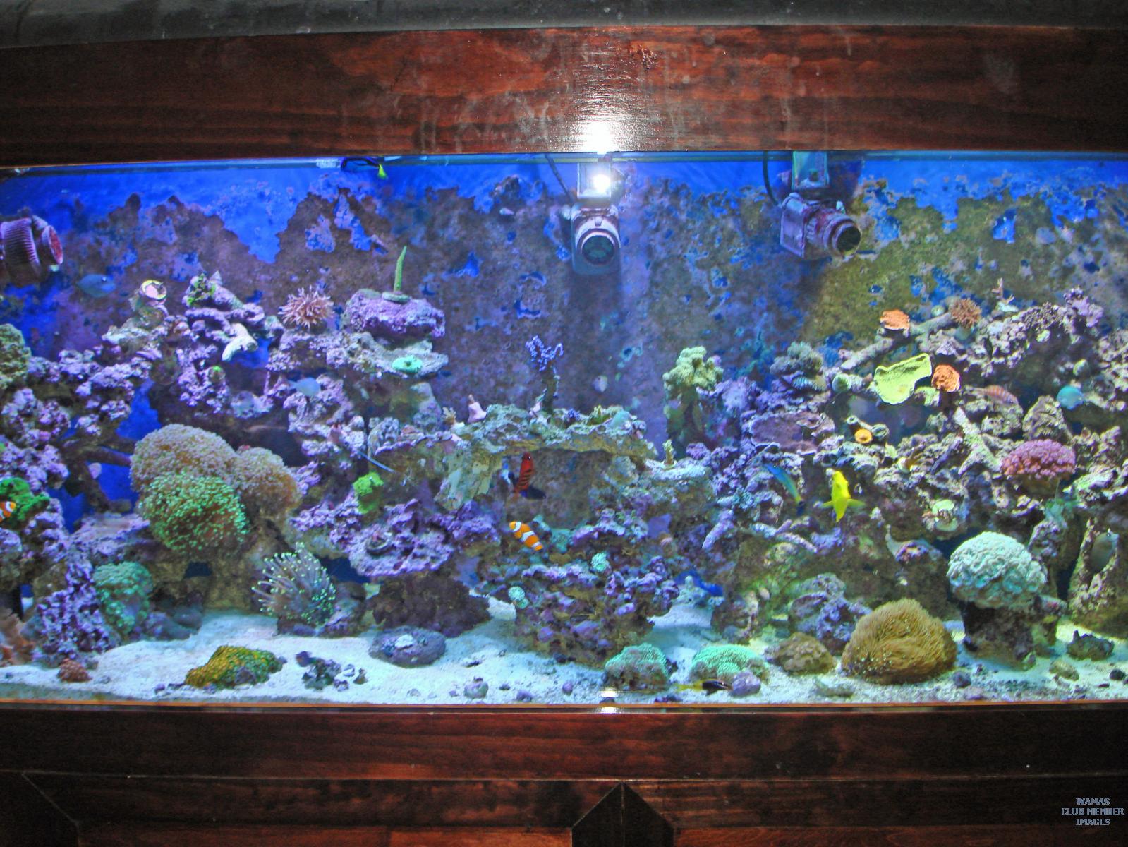 gallery_2631563_526_1056144.jpg