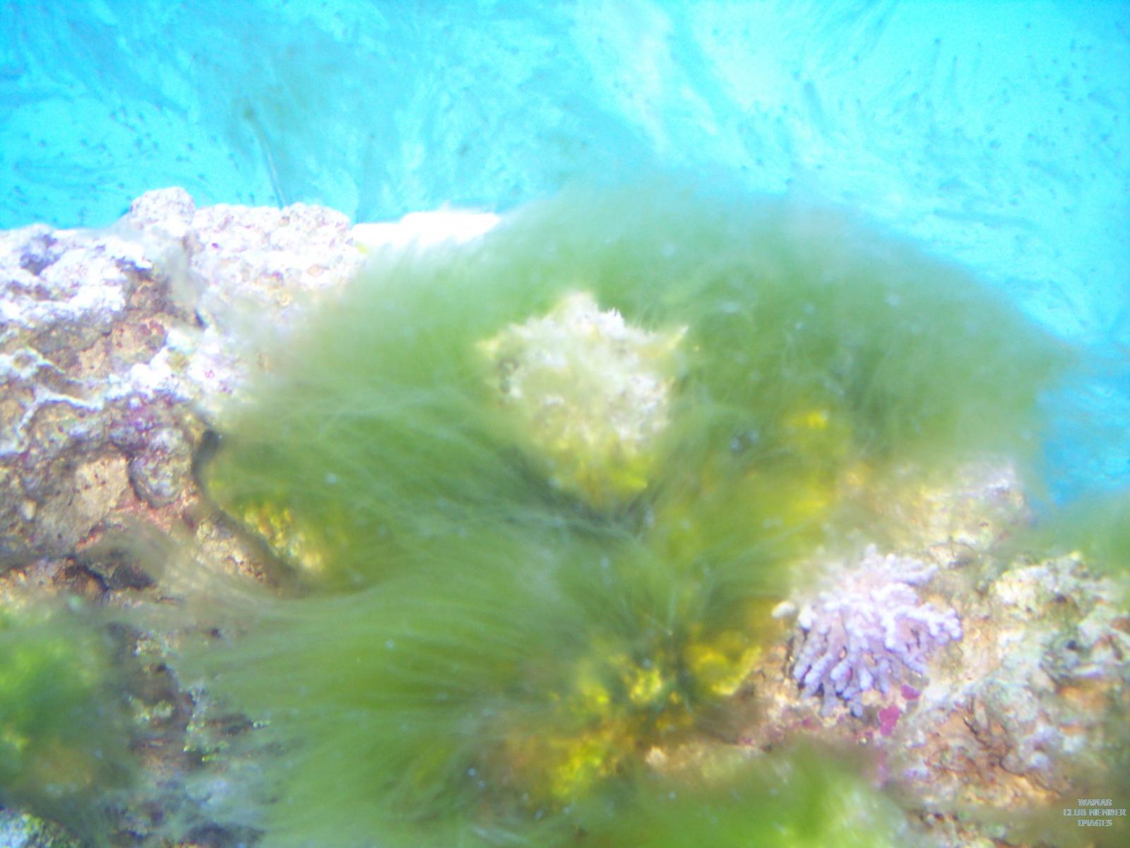 gallery_2631516_394_143807.jpg