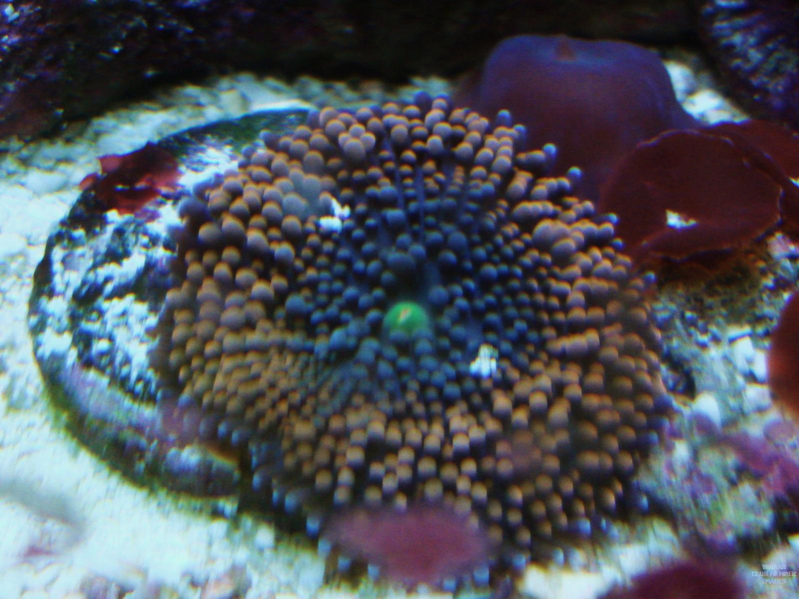 gallery_2631654_455_711478.jpg