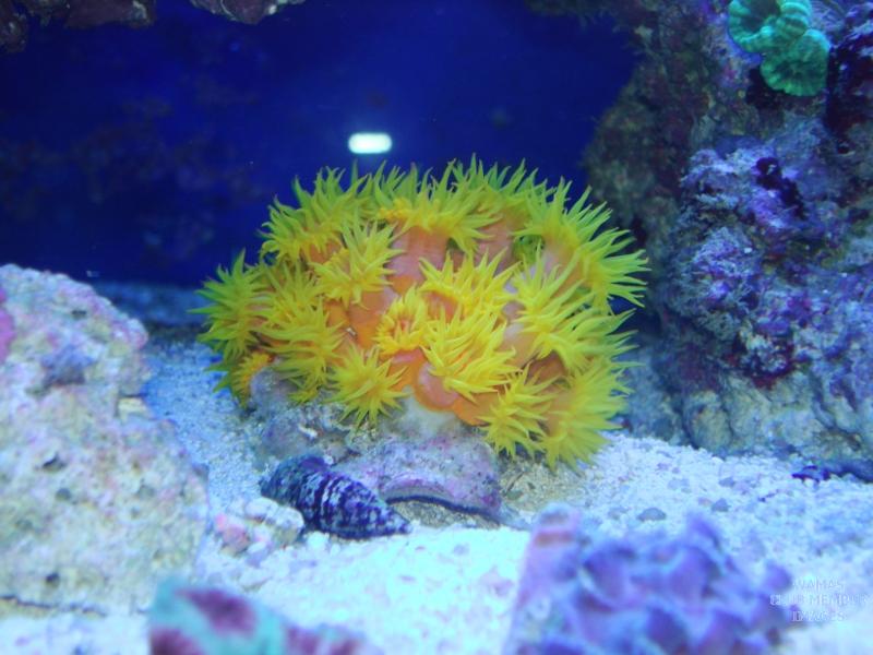 gallery_2631563_642_54580.jpg