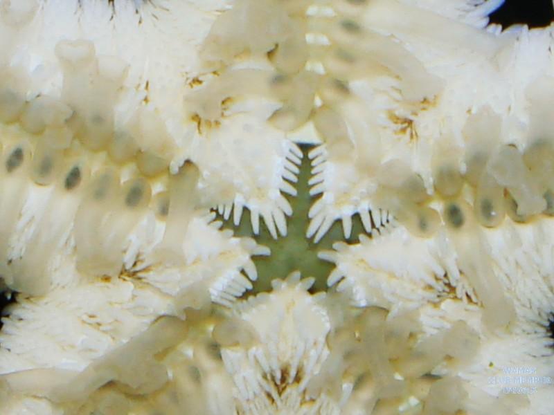 gallery_2631563_669_26596.jpg