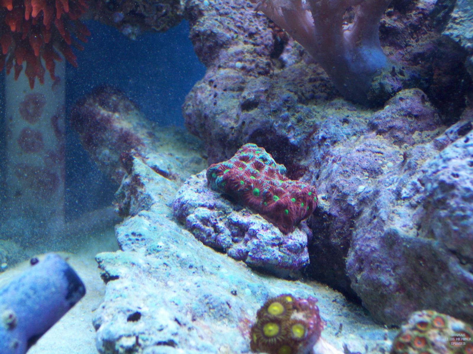gallery_2631516_394_664962.jpg