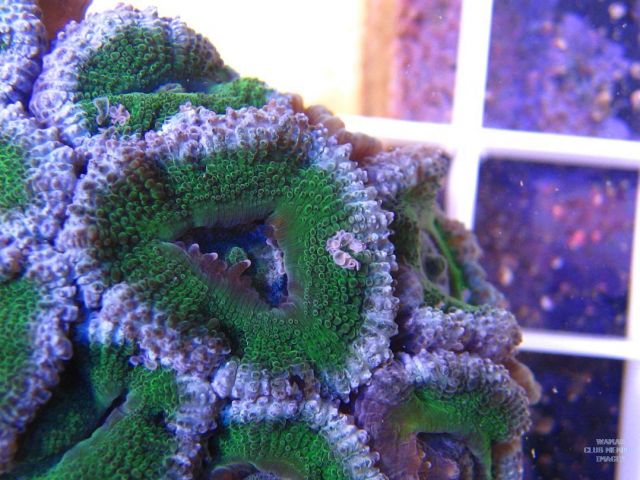 med_gallery_2632346_782_102846.jpg