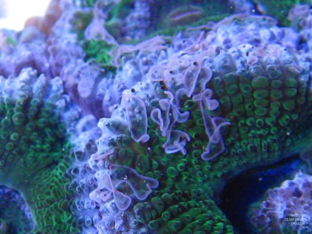 med_gallery_2632346_782_42703.jpg