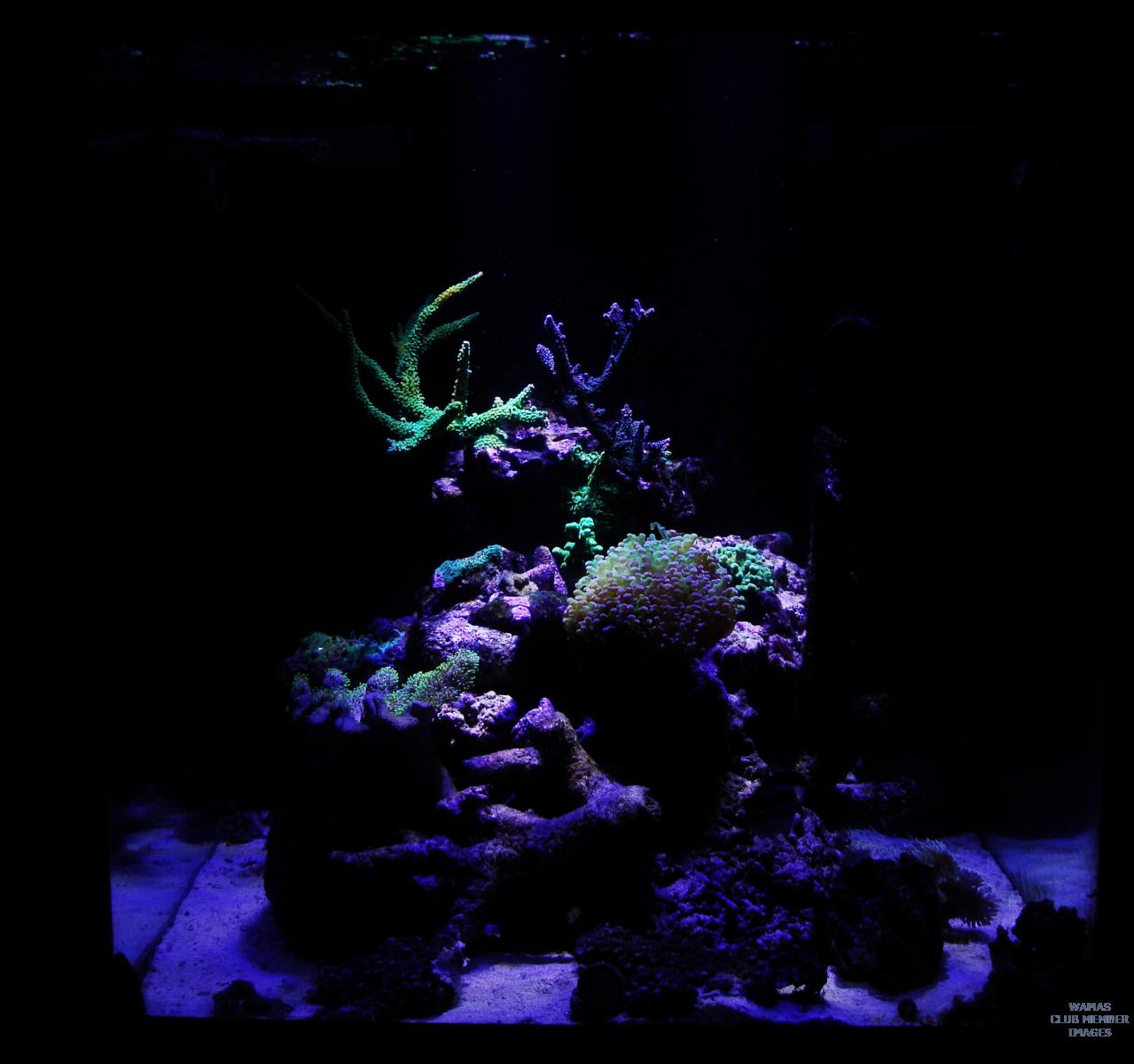 gallery_2631654_582_386289.jpg