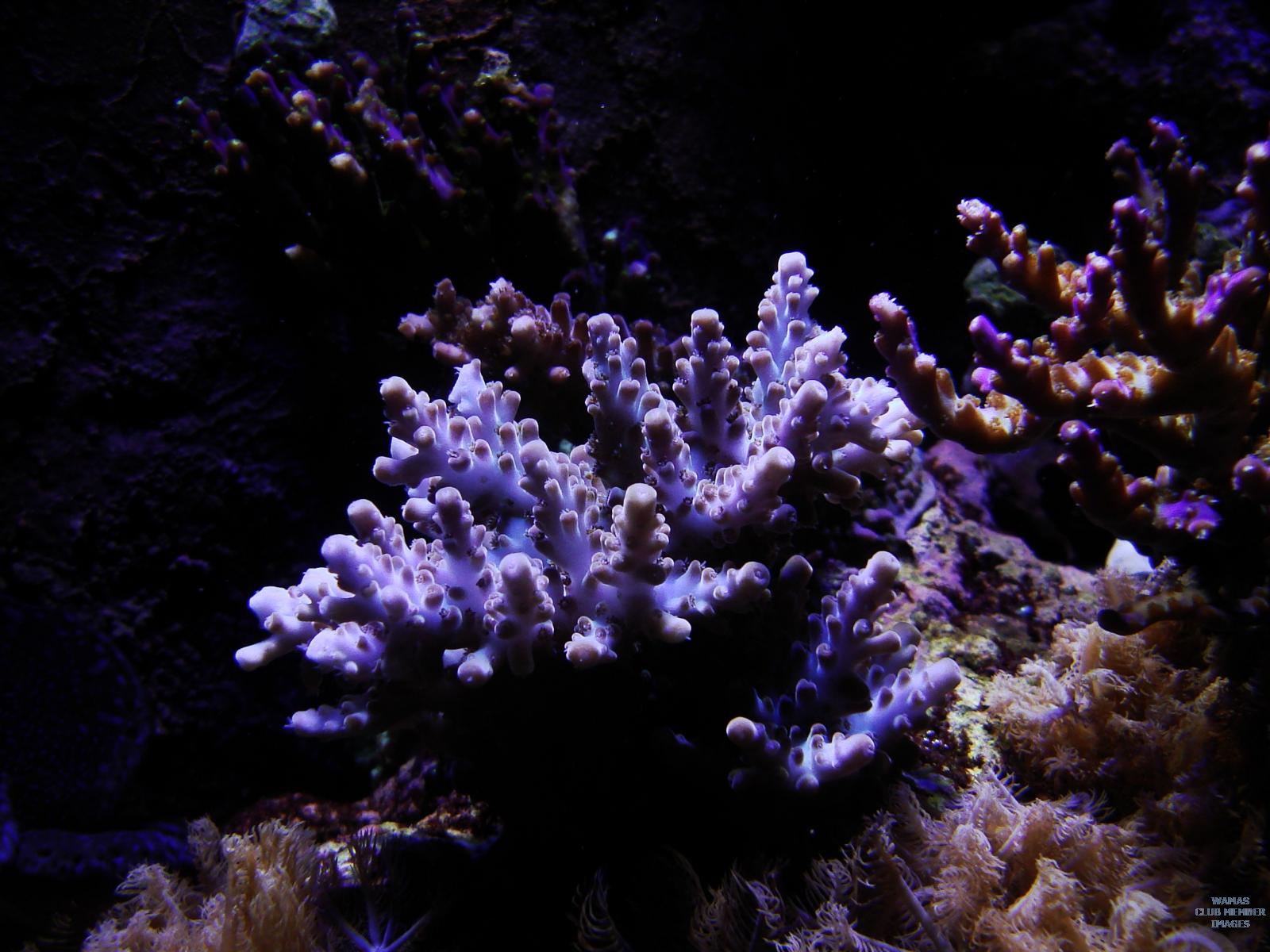 gallery_2631654_582_250424.jpg