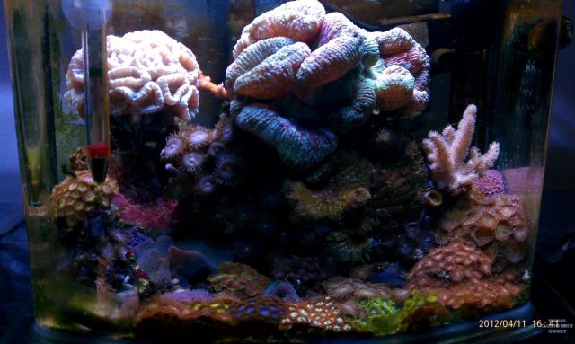 med_gallery_2631914_743_1299712.jpg