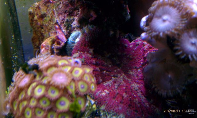 med_gallery_2631914_743_167611.jpg