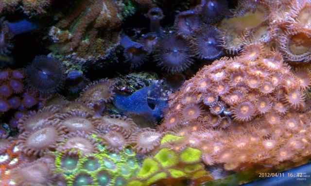 med_gallery_2631914_743_187976.jpg