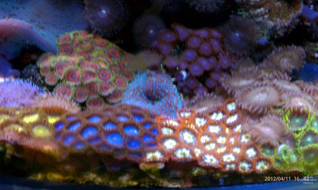med_gallery_2631914_743_376628.jpg