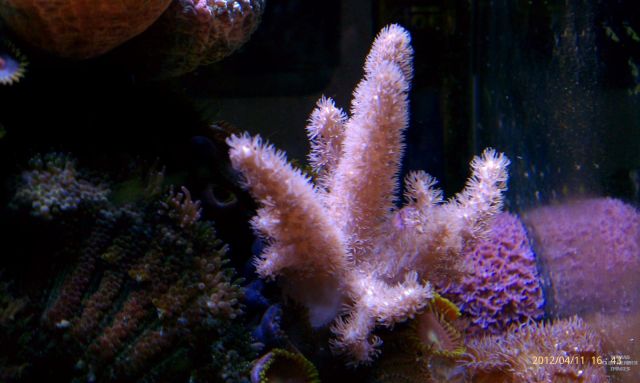 med_gallery_2631914_743_49996.jpg