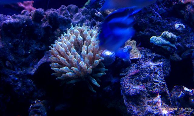 med_gallery_2631914_787_1224625.jpg