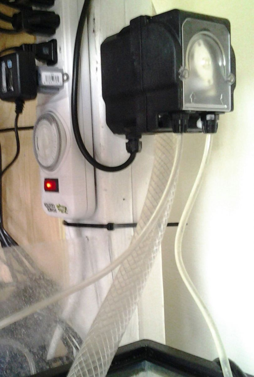 gallery_2633282_1083_135716.jpg