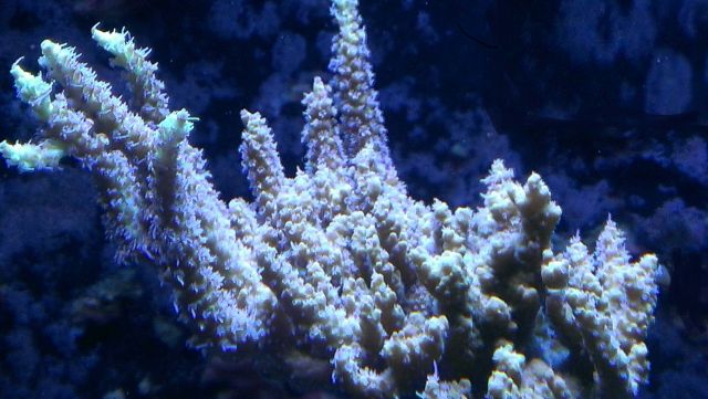 med_gallery_2632921_1458_241930.jpg