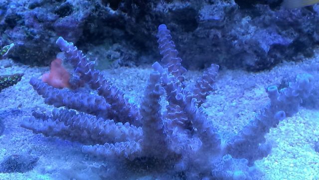 med_gallery_2632921_1458_331205.jpg