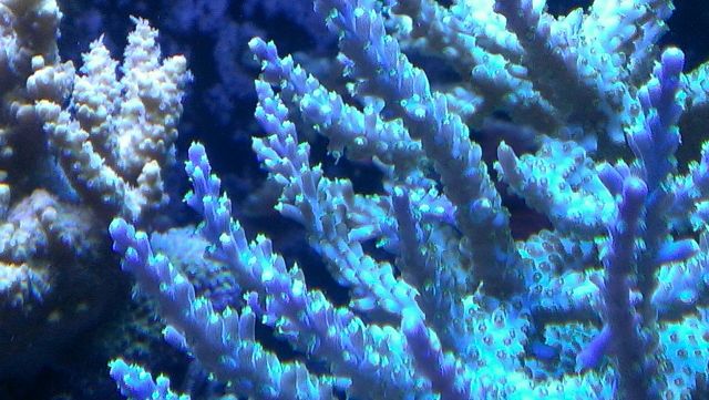 med_gallery_2632921_1458_732637.jpg